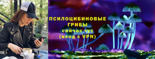 мдма Гусев