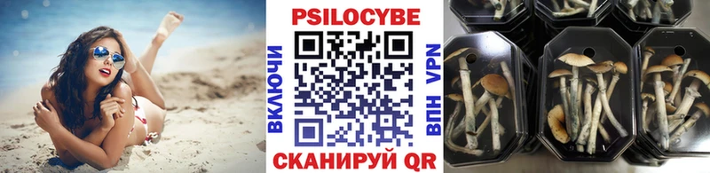 Псилоцибиновые грибы ЛСД  Купить  Кстово 